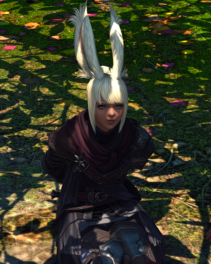 Grimsbeard 🇨🇦 (aka Will) tweet media