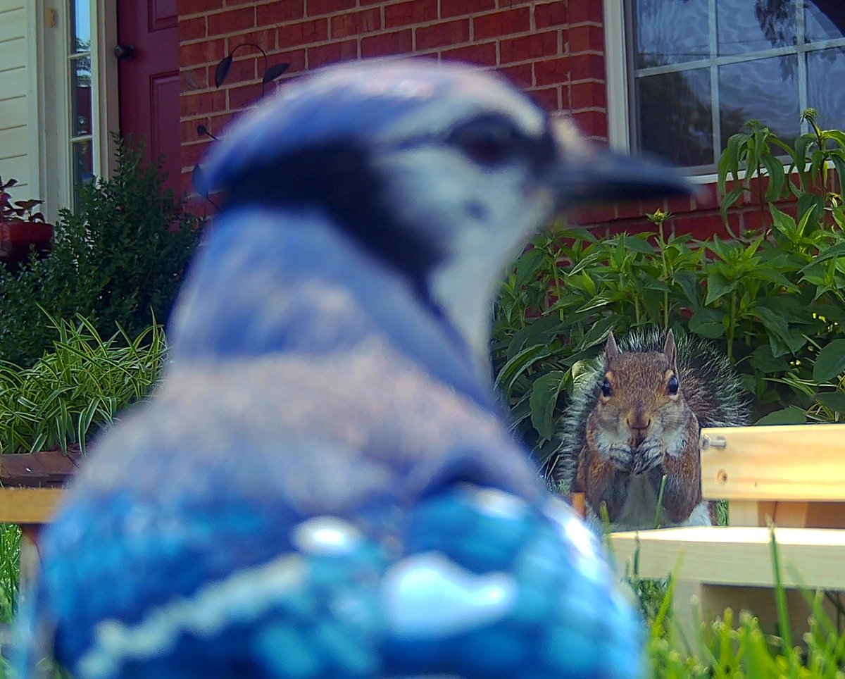 CrazyCharlie615's tweet image. #TinyTable sometimes has a wait, but we do our best to accommodate everyone!