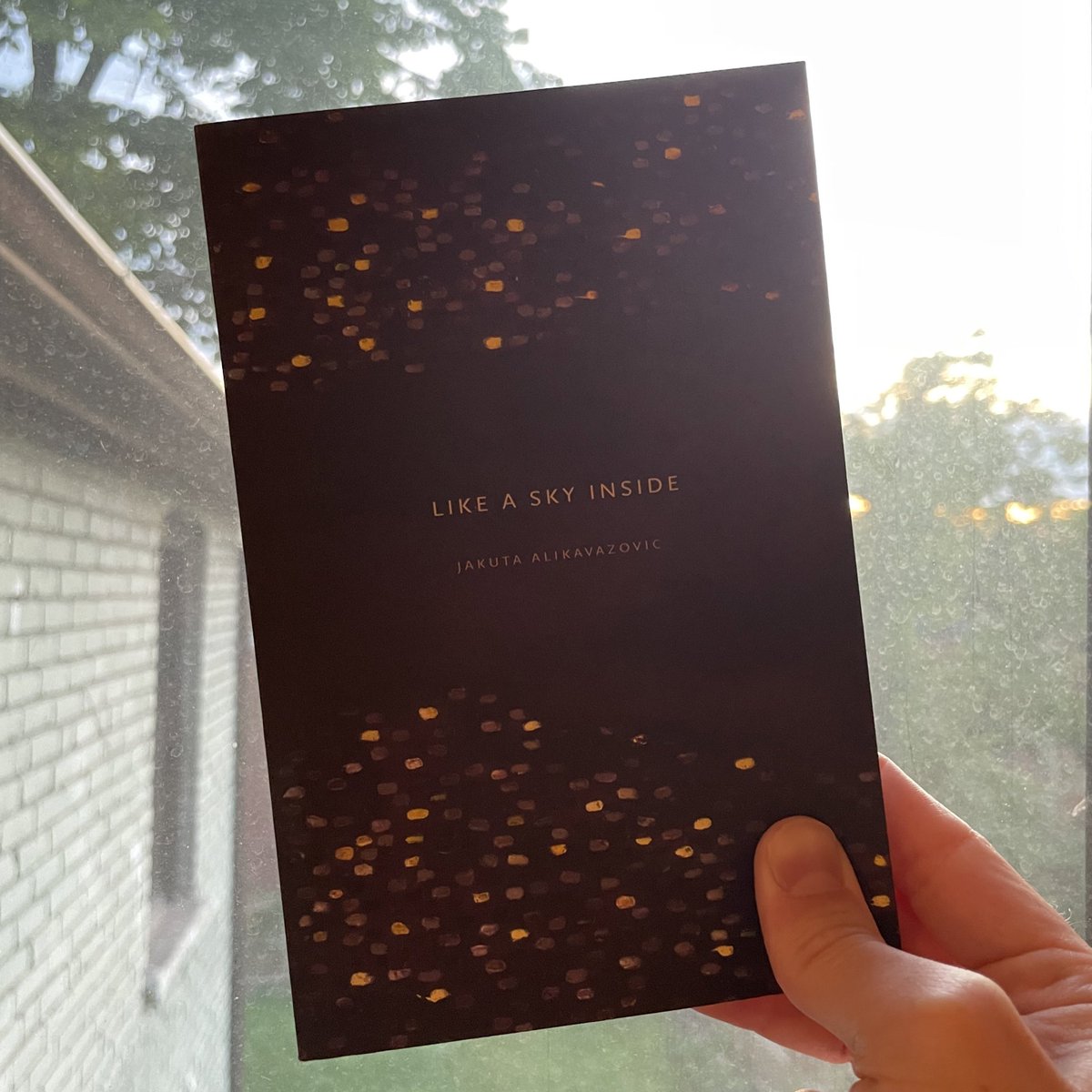 thanks <a href="/SplitRockBks/">Split Rock Books</a> for this little gem
