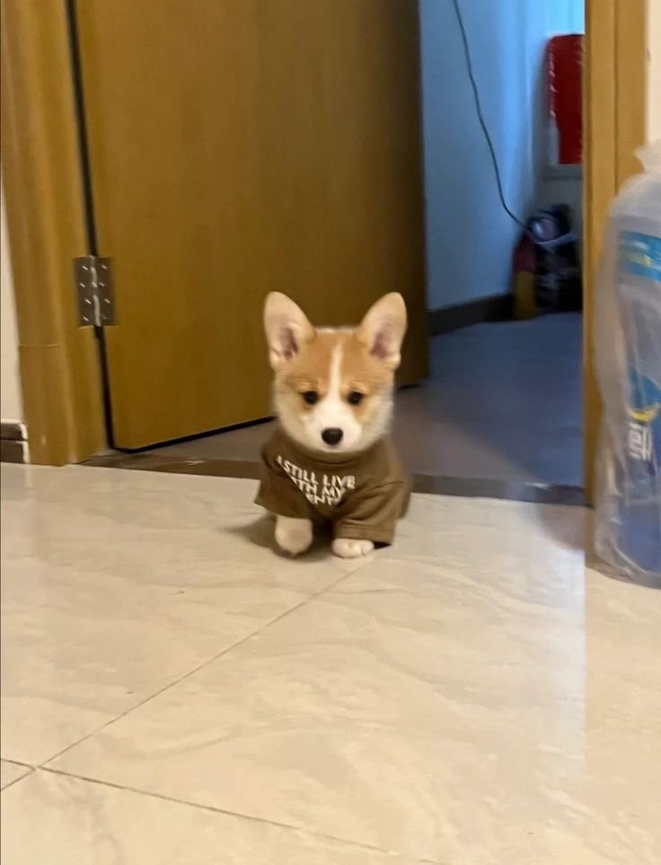 smol
