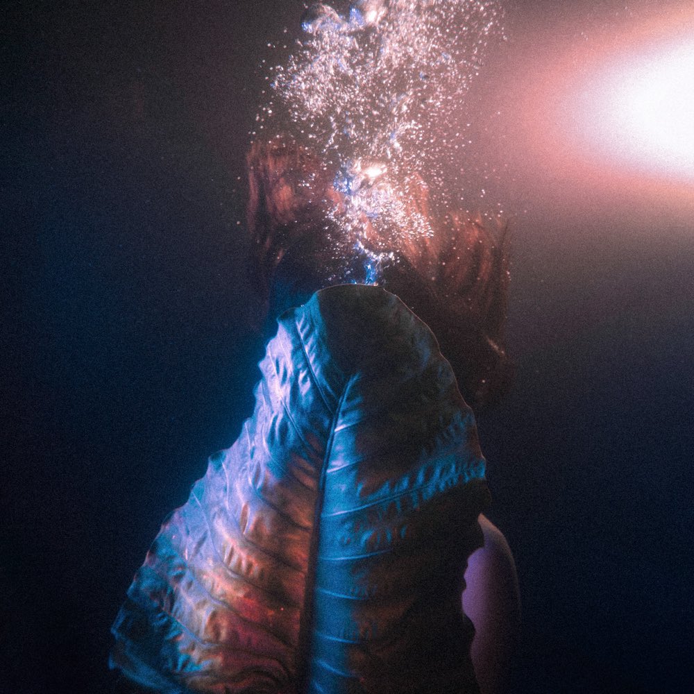 Will Korzi tweet media