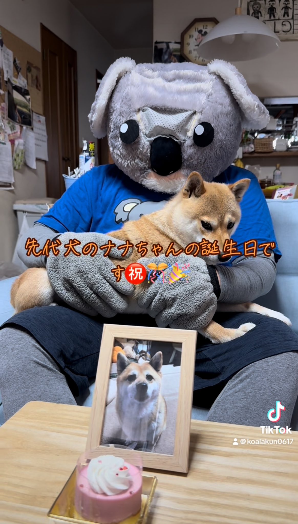 6月29日 - Search / X