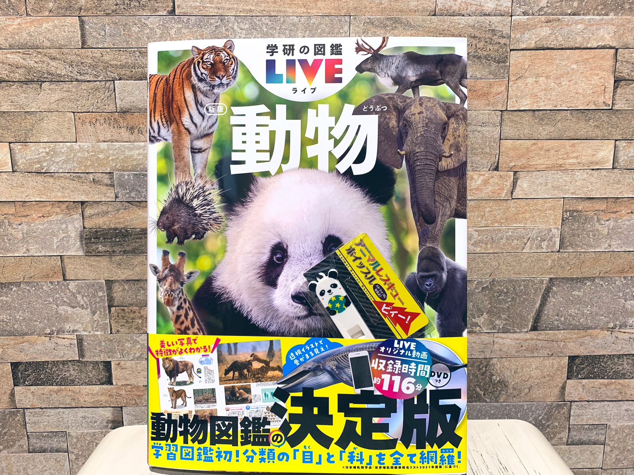 喜久屋書店花田店 on X: 