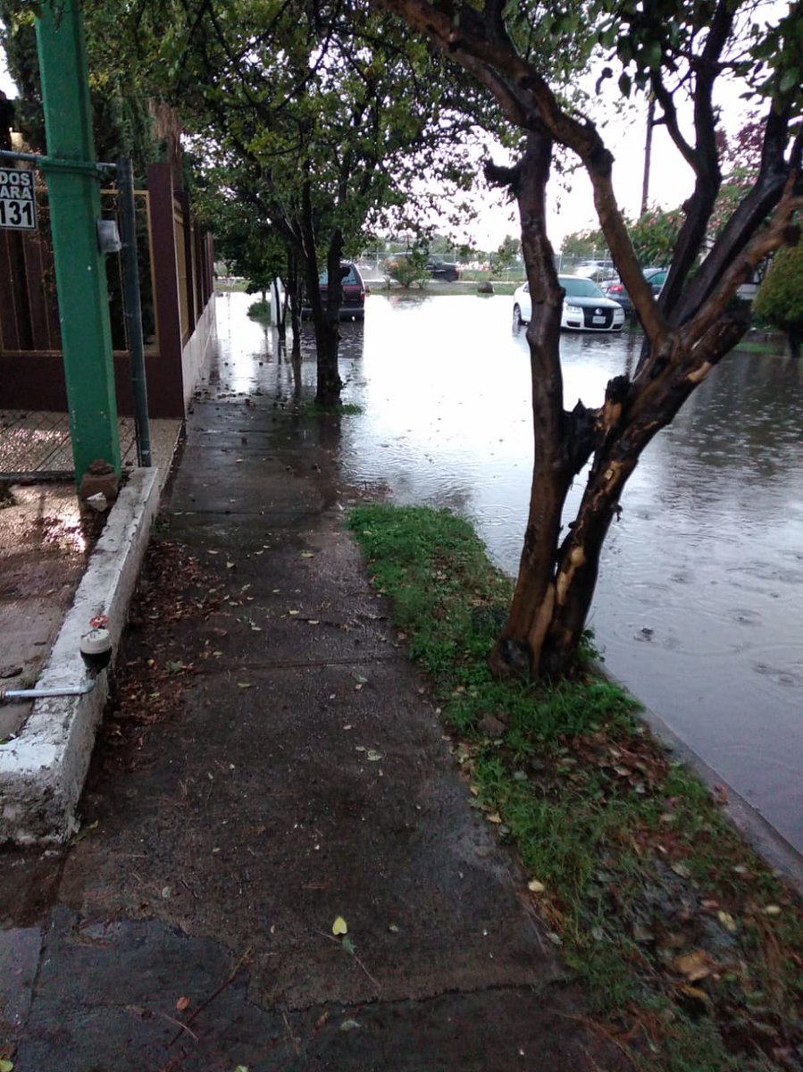 WIKA_ALEJANDRA's tweet image. @siapagdl  acaso hasta que ocurra una tragedia nos podrán apoyar con estos reportes echos de manera previa ?  @Trafico_ZMG @SaucedoCharly  @roxychik25