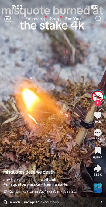 my fyp is so good because i am so good https://t.co/Wj7mQlDnPw