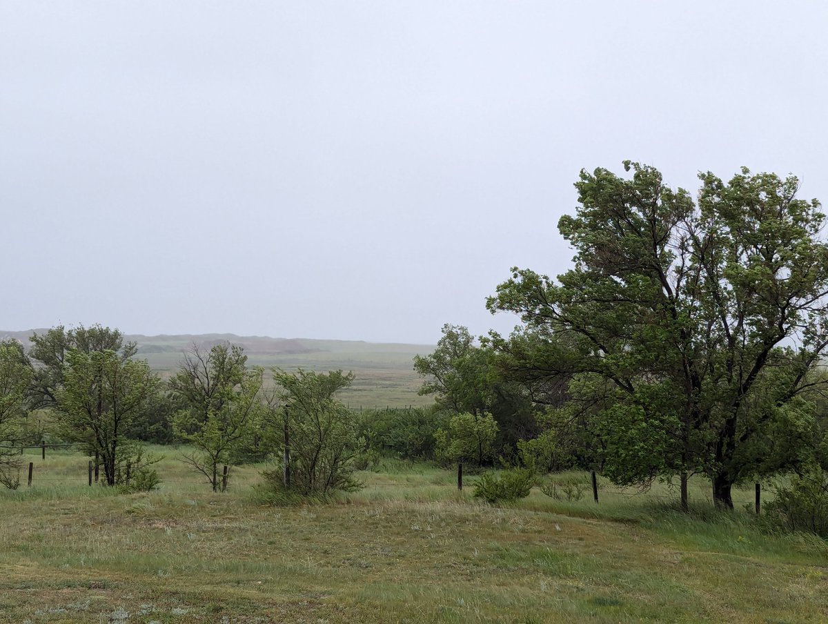 Sarah Vinge-Mazer tweet media