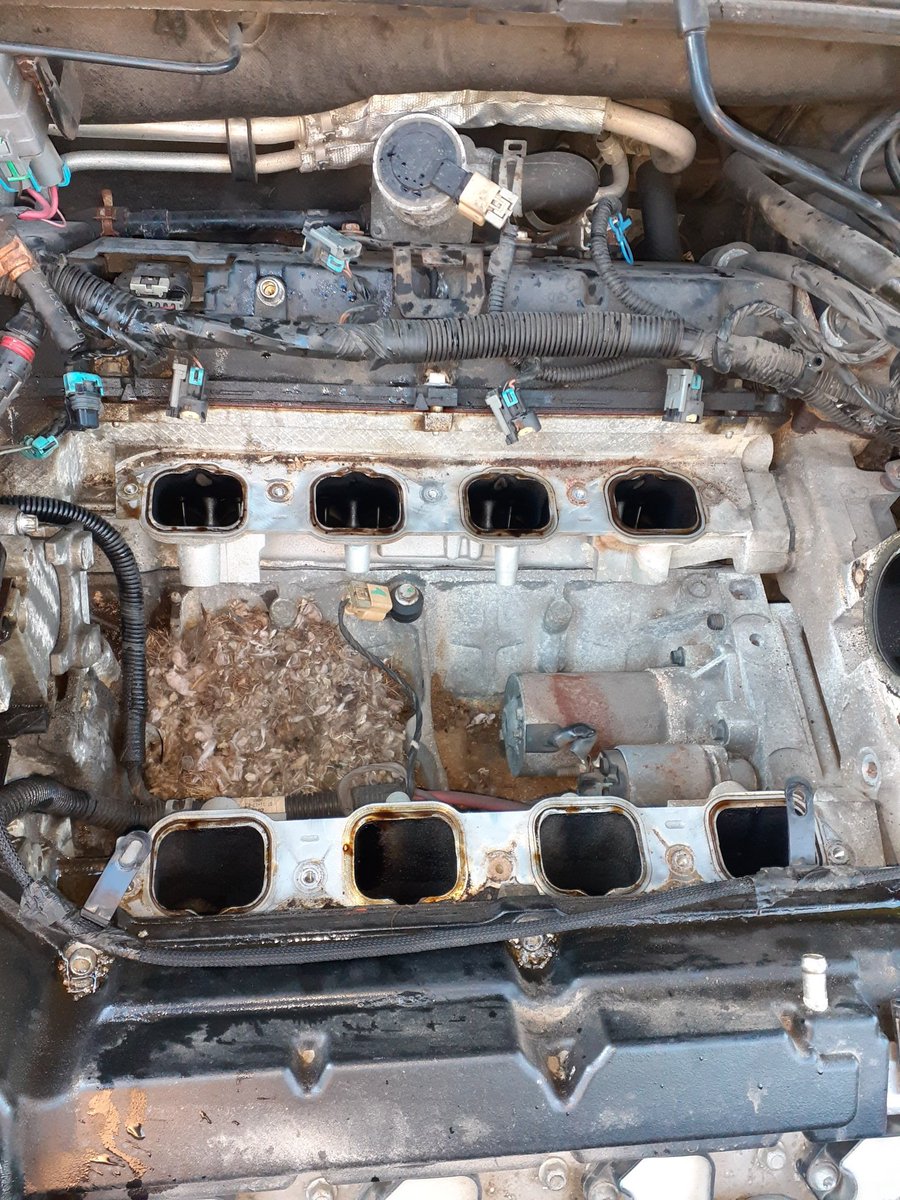 DegaustKirk's tweet photo. 4:30 Friday holiday weekend I need the car for Tuesday for a wedding and a mouse ate the vacuum lines under the intake ... she lives again same day #turnandburn #funwithcaddys #rushjob https://t.co/r0wcZz0n2S