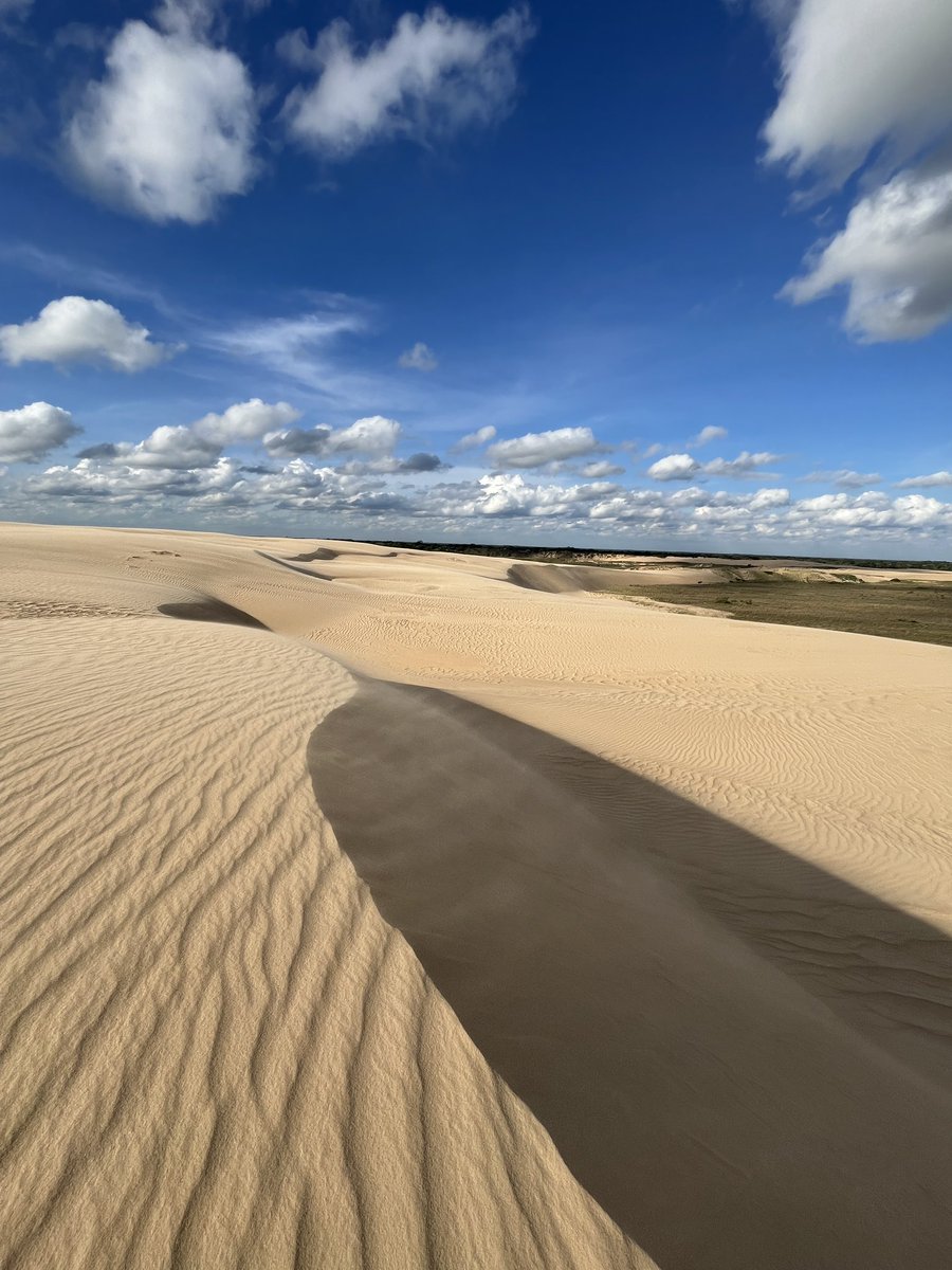 CARMEN CAMÍ tweet media