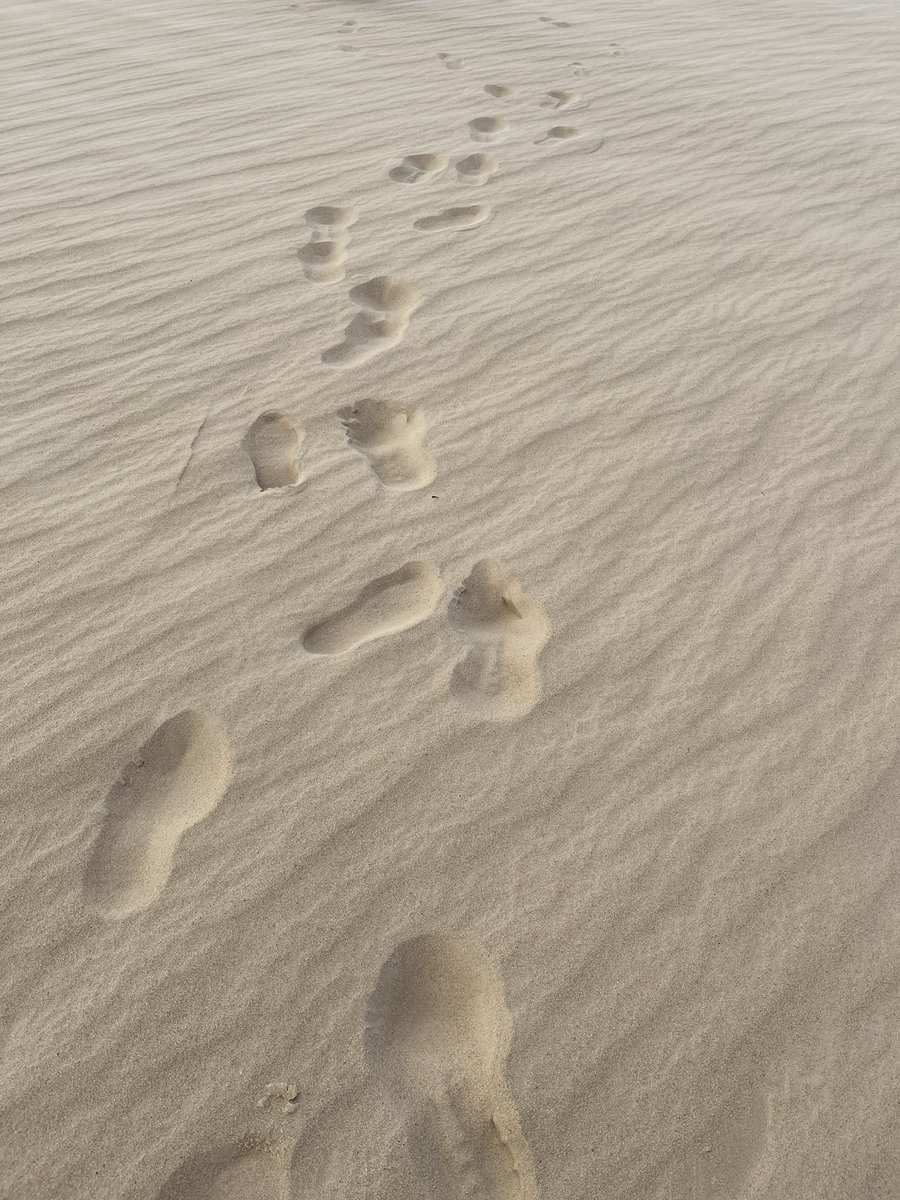 CARMEN CAMÍ tweet media