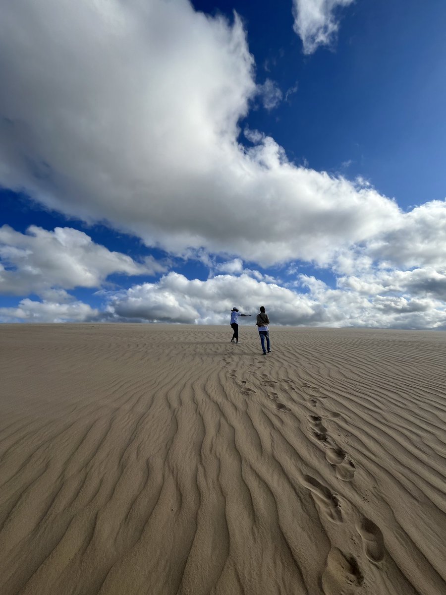 CARMEN CAMÍ tweet media