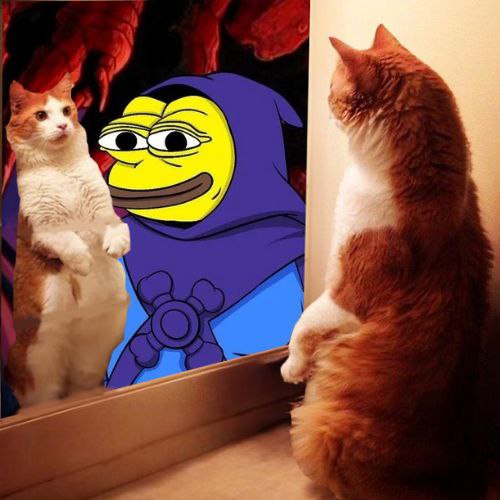 ReflectCatSol's tweet photo. @0xWinged Respect and Reflect.... https://t.co/WDYL5VECPq