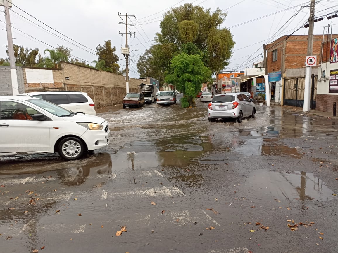 WIKA_ALEJANDRA's tweet image. 