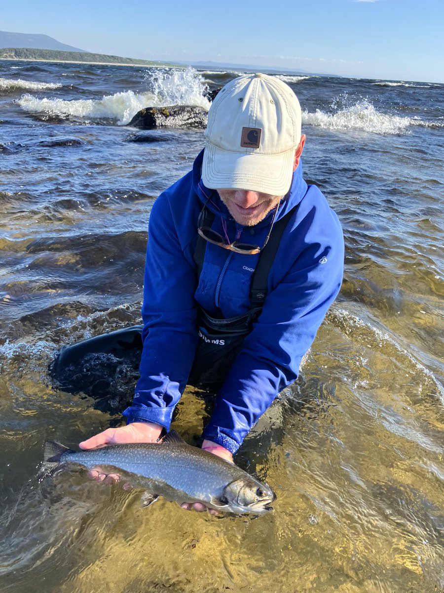 James P. Losee tweet media