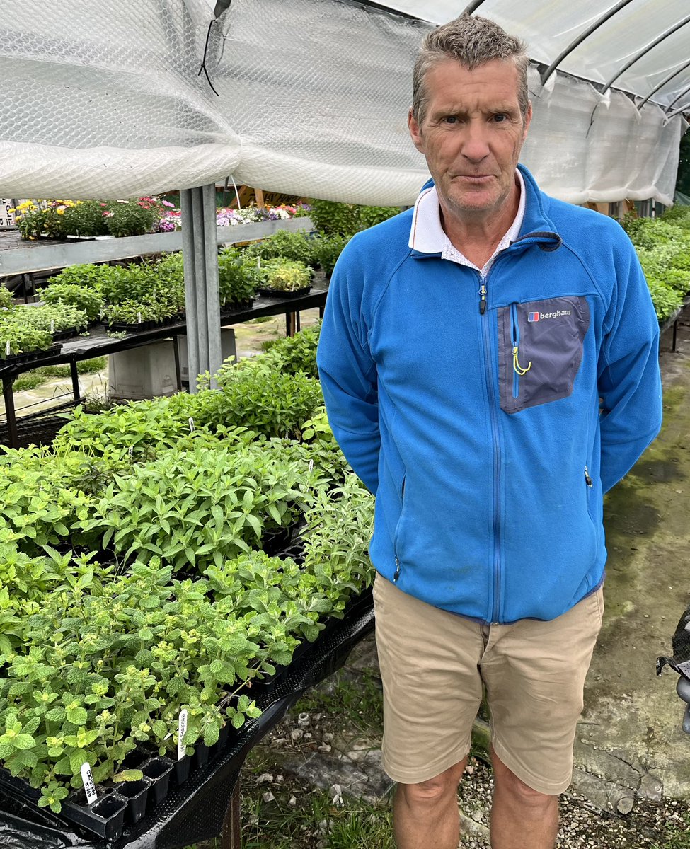 We had a lovely visit from Kenny <a href="/mint_aholic/">A Scottish Mint Collection</a> today, he has a fantastic collection of mints and i was lucky enough to receive 12 new mints to add to my collection, including a very interesting black stemmed mint!