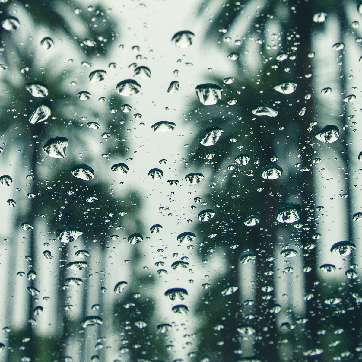clima_cam's tweet photo. If it rains in your location we would appreciate your report here: https://t.co/fXBdzNVYn5
If it does not rain a report would not hurt as well.