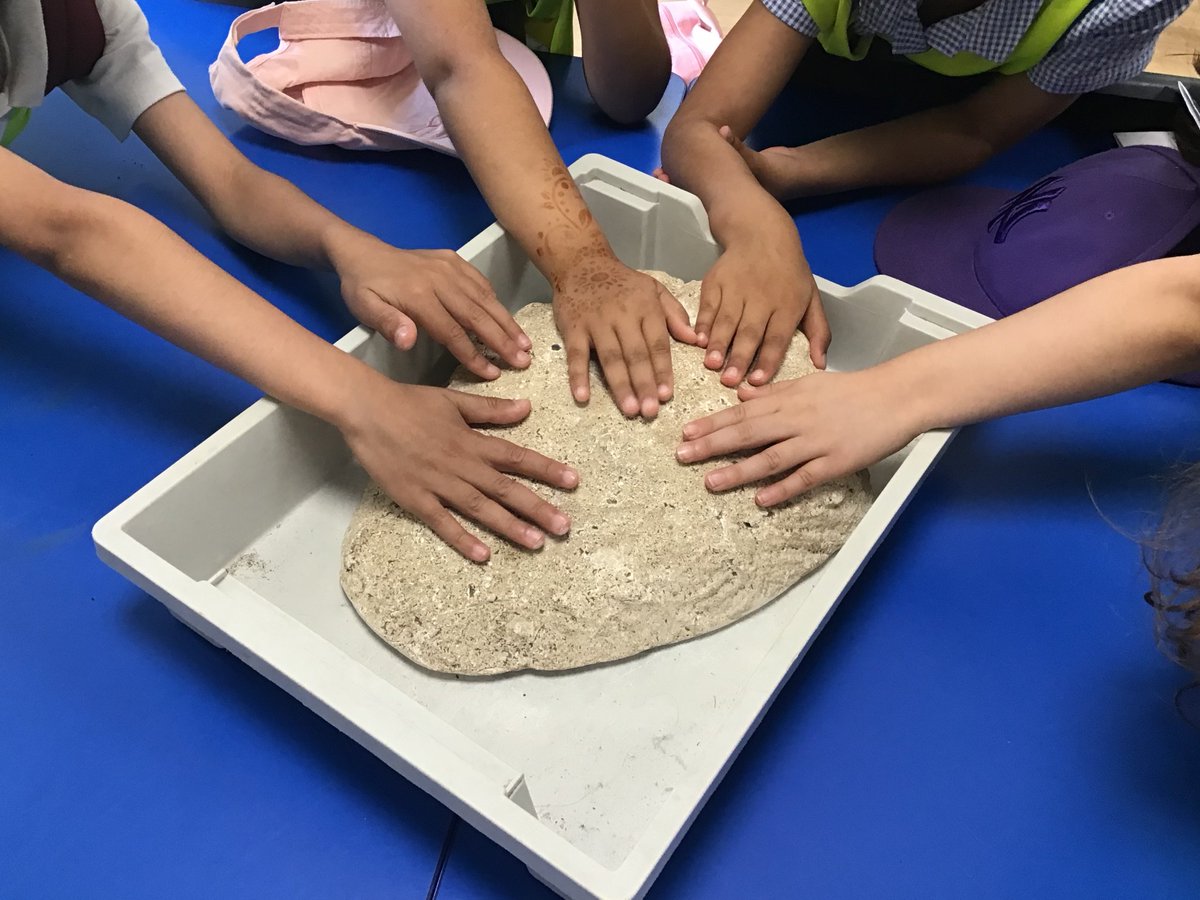 stjohns_year2's tweet photo. Children really enjoyed their school trip to the Yorkshire Wildlife Park #nurture #learn #together #succeed https://t.co/TM46ESy4rm