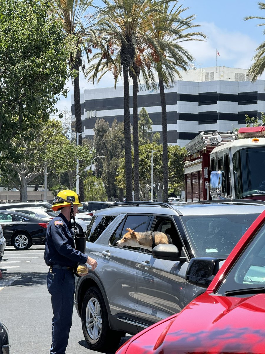 OCFireAuthority's tweet image. Thank you to everyone who donated! #FillTheBoot @ocfirefighters