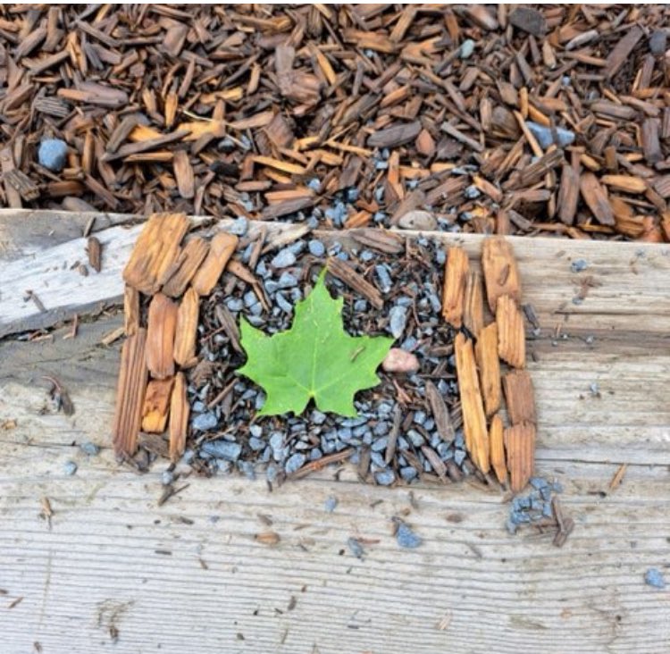 Happy Early Canada Day from one of our creative students.