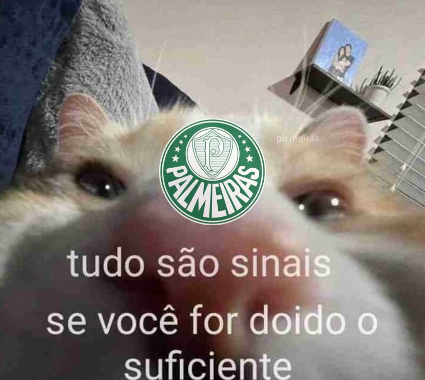 picmeiras's tweet photo. hoje https://t.co/1FKH6mNfAW