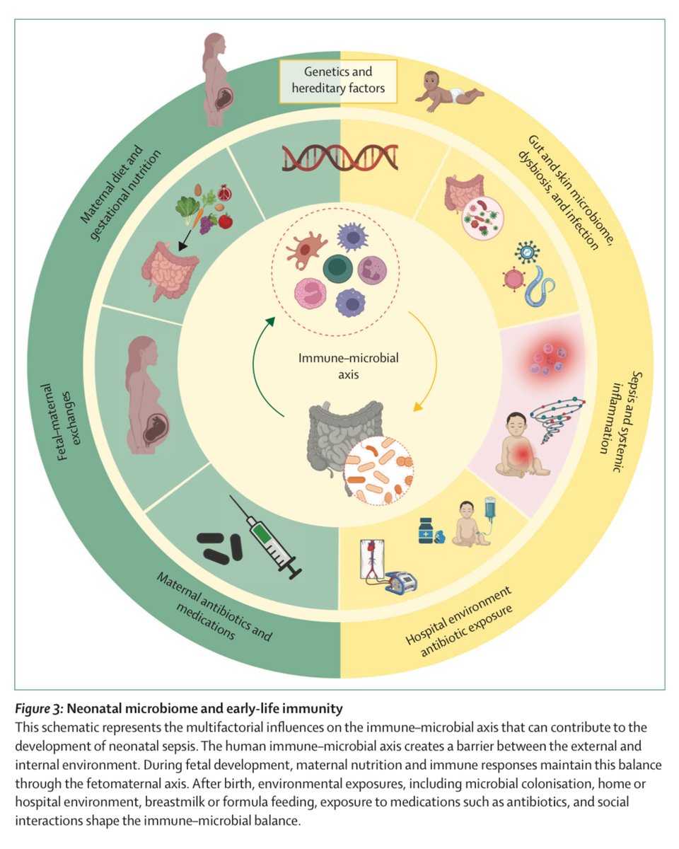 Thrilled to share our latest review <a href="/TheLancet/">The Lancet</a> #neonatalsepsis, a major challenge in neonatal medicine. Highlights urgent need for universal sepsis definition and improved care. Proud to be part of fun team Tobias Strunk <a href="/MolloyLab/">Eleanor J Molloy</a> and Zulfiqar Bhutta thelancet.com/journals/lance…