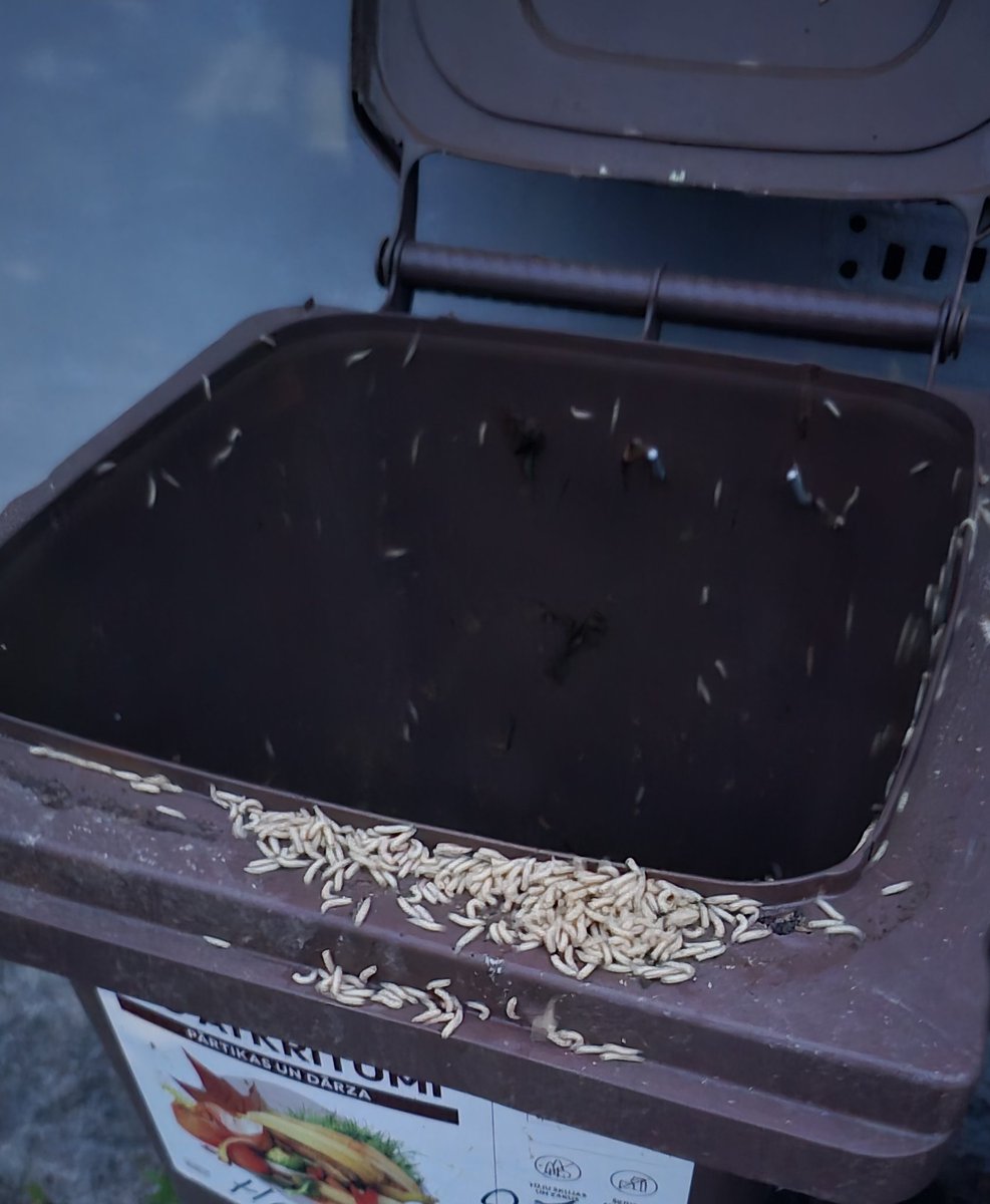 Jauks piektdienas vakars. Izeju izmest bio atkritumus. Paceļu vāku un burvīgs pārsteigums izbirst uz kājām. Un <a href="/EcoBaltiagrupa/">Eco Baltia</a> vēl liek šos stumt pie ēkas logiem, jo viņu darbiniekiem slinkums, pat par papildus samaksu, iet pakaļ. "Jauki", ka <a href="/RigasDome/">Rīga</a> liedza iespēju izvēlēties