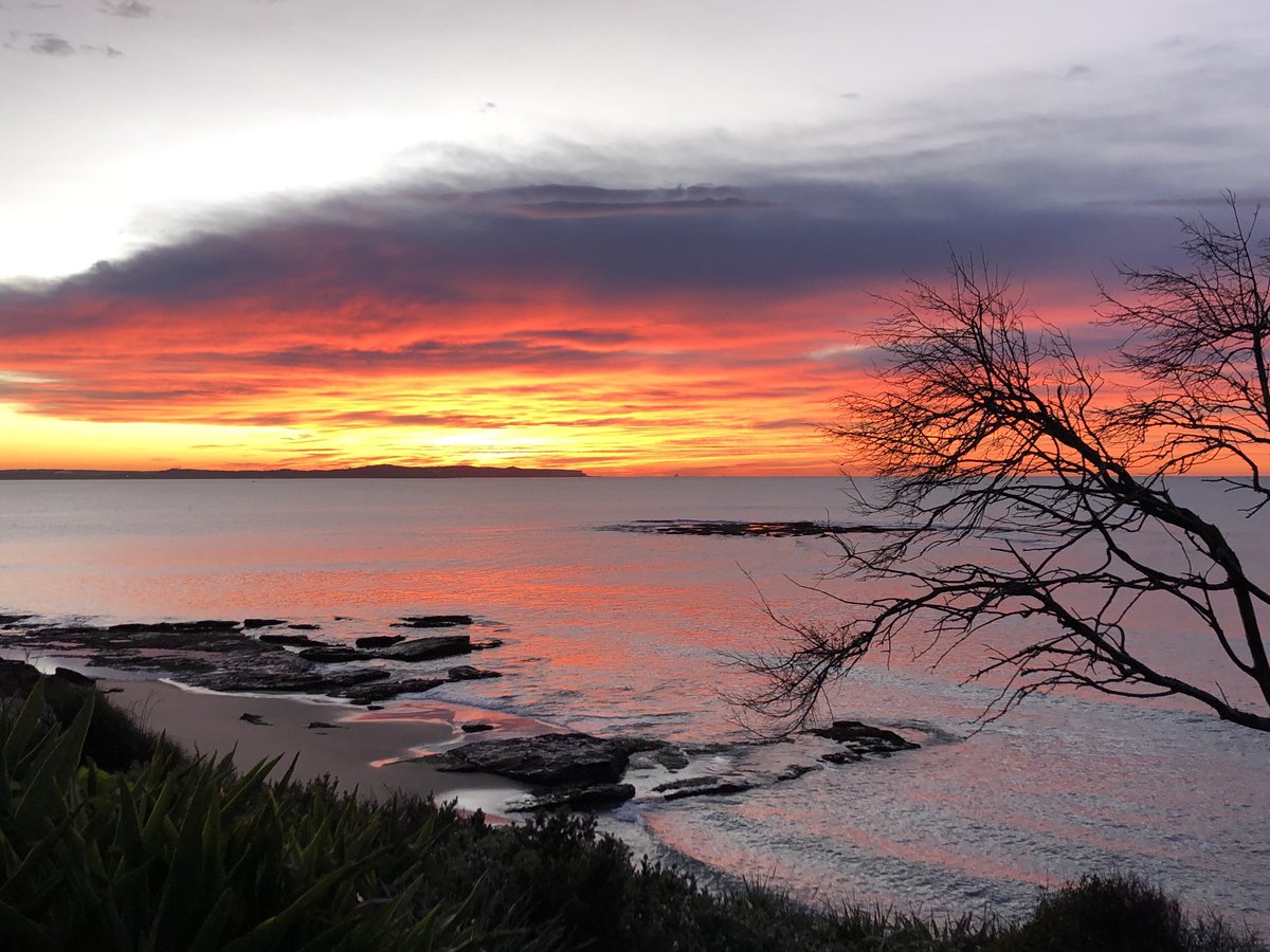 Philip Micallef ❤️🖤❤️🖤❤️🖤 tweet media