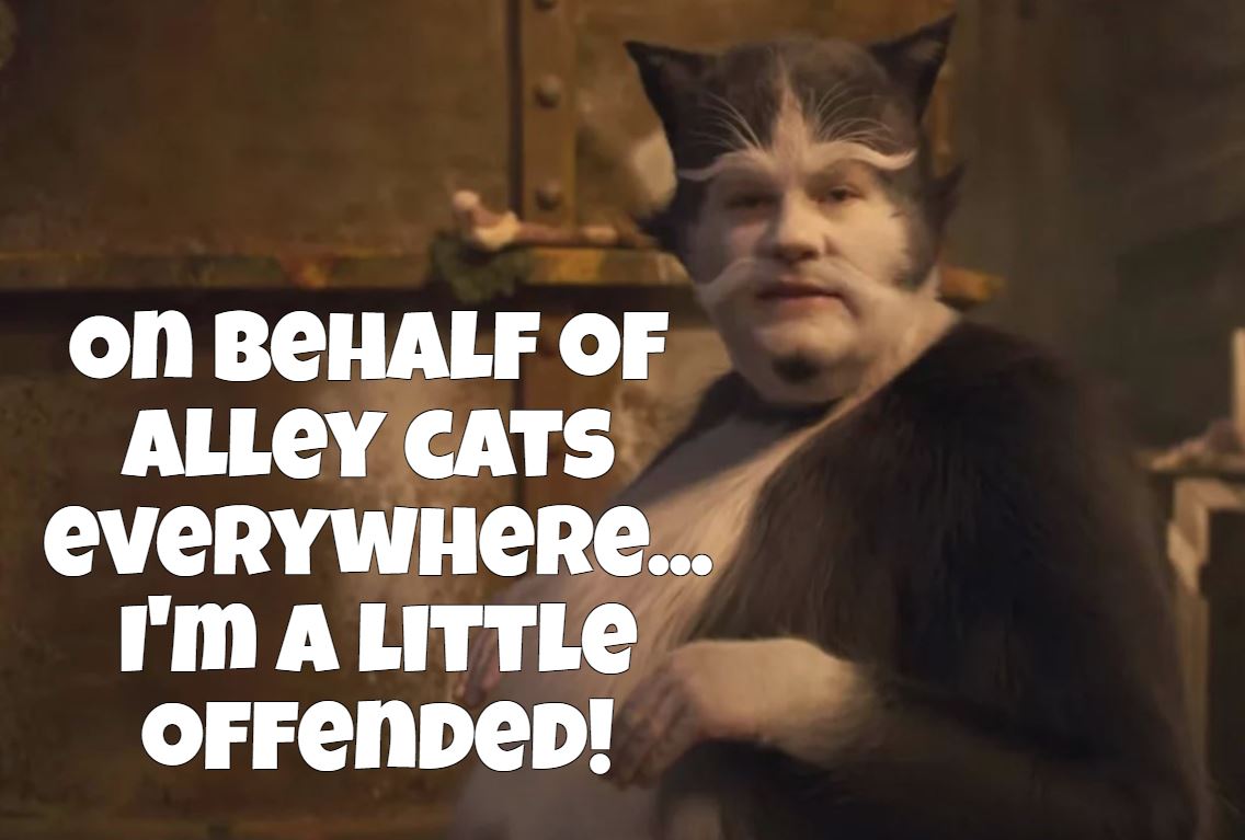 CoolGrooveThing's tweet photo. "You have the morals of an alley cat." https://t.co/wjARJ8SbEm