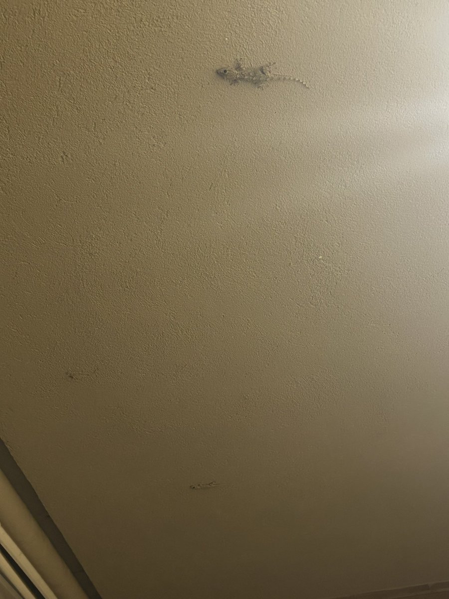 Jordi Soler tweet media