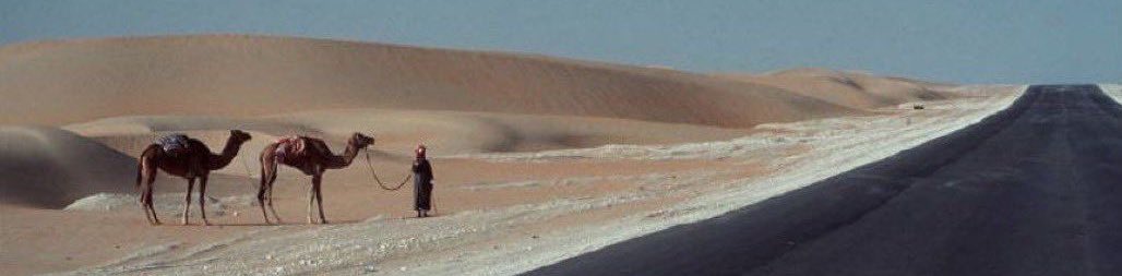 "يلوم المغربل جاهلٍ ماشكى دنياه
 ولا لاعته صكات بقعا .. ولا جرّب "