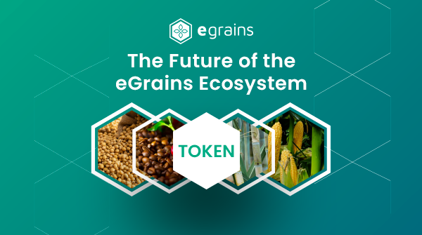 eGRAINS (hiring!) tweet media