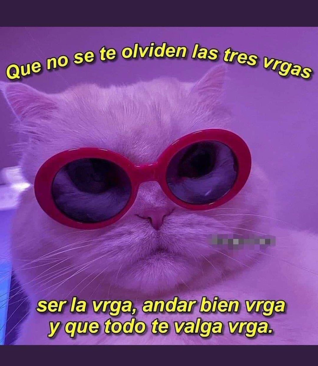 Frgii's tweet photo. @andreagc30 https://t.co/kJM629afMv