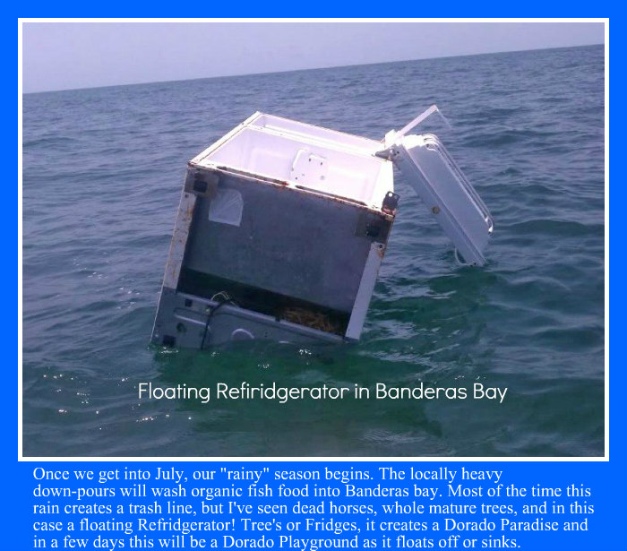Master Baiter's Sportfishing & Tackle (@MasterBaiters) / Posts / X