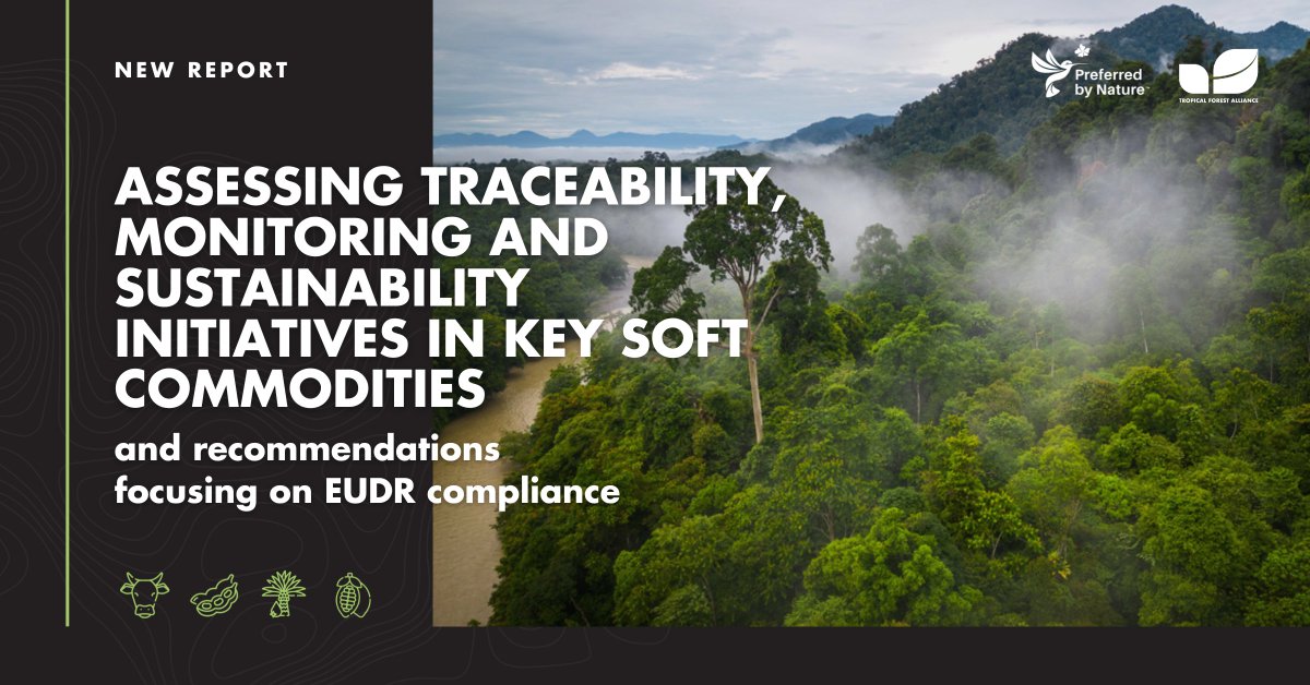 Our new report, produced in collaboration with <a href="/PreferbyNature/">Preferred by Nature</a>, takes stock of existing monitoring &amp; #traceability initiatives which could support compliance with the #EUDR. 

It focuses on 4 #commodities: soy, palm oil, cattle/beef and cocoa.

tropicalforestalliance.org/assets/Uploads…