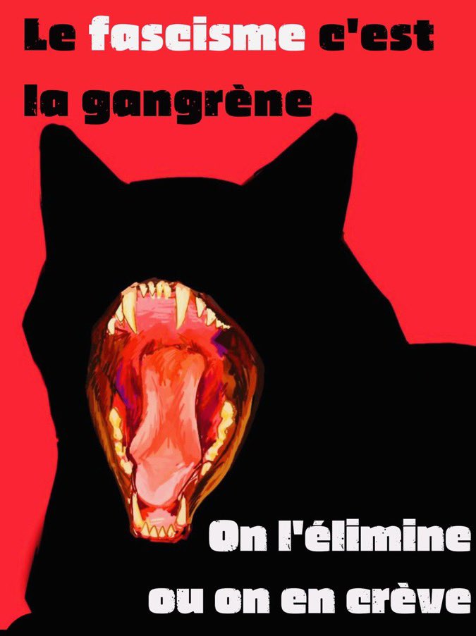 Marcel (@realmarcel1) on Twitter photo 