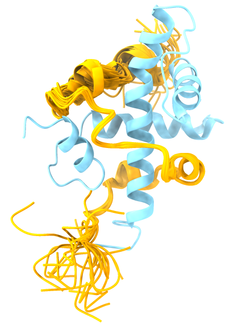 Diego Javier Zea tweet media