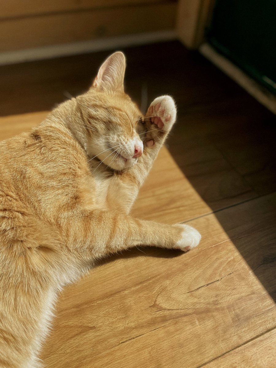 Just kinda , been
one of   Them days  yk’now??