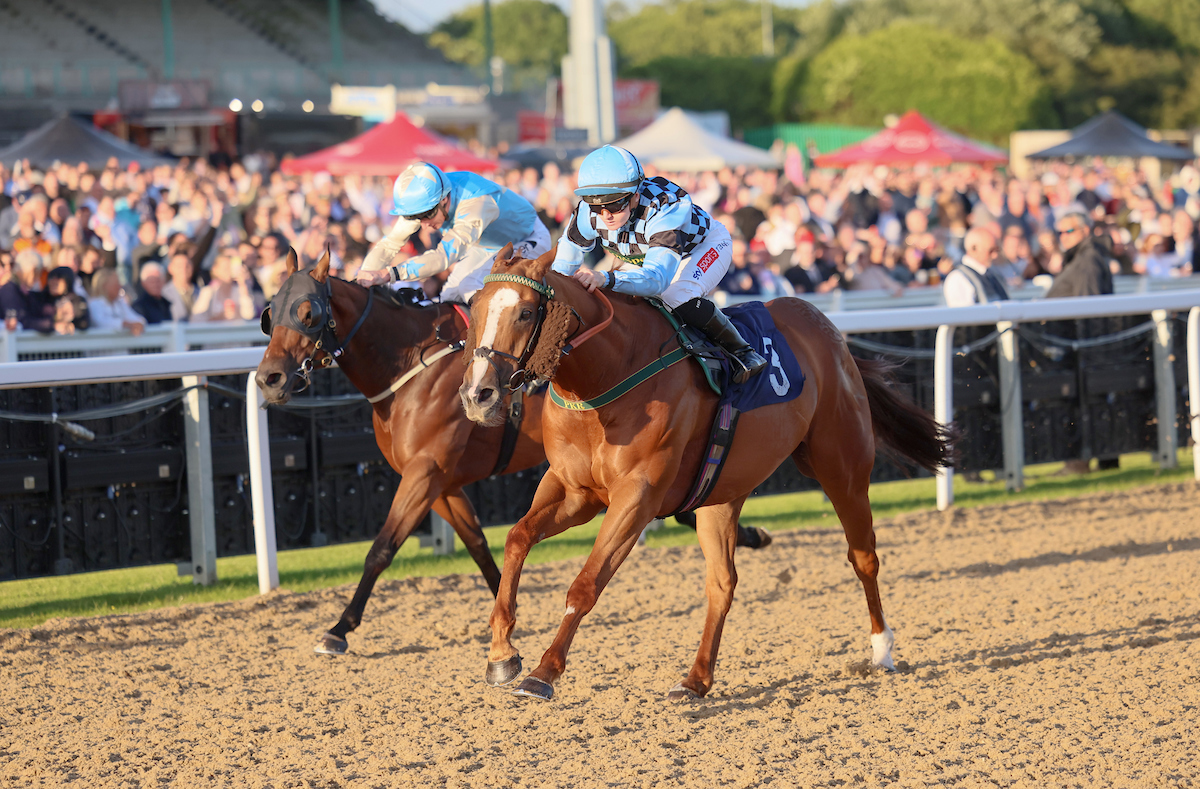 Newcastle Racecourse (@newcastleraces) on Twitter photo RACE 8 RESULT: <a href="/jenningsbetinfo/">JenningsBet</a> In North Shields Handicap
🏆Fircombe Hall
Winning jockey: Hollie Doyle
Winning trainer: Philip Kirby
Owner: RedHotGardogs RACE 8 RESULT: <a href="/jenningsbetinfo/">JenningsBet</a> In North Shields Handicap
🏆Fircombe Hall
Winning jockey: Hollie Doyle
Winning trainer: Philip Kirby
Owner: RedHotGardogs