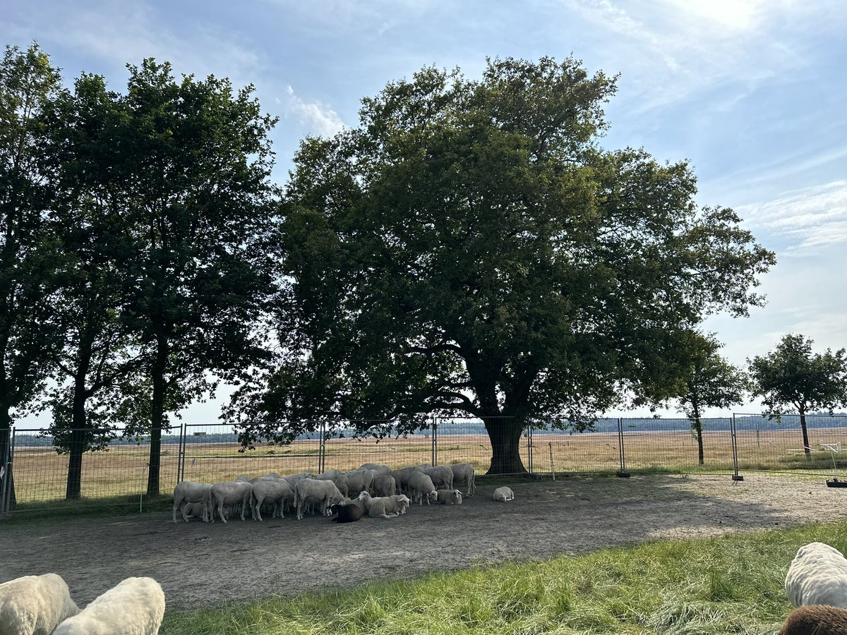 Hilda Blanke tweet media
