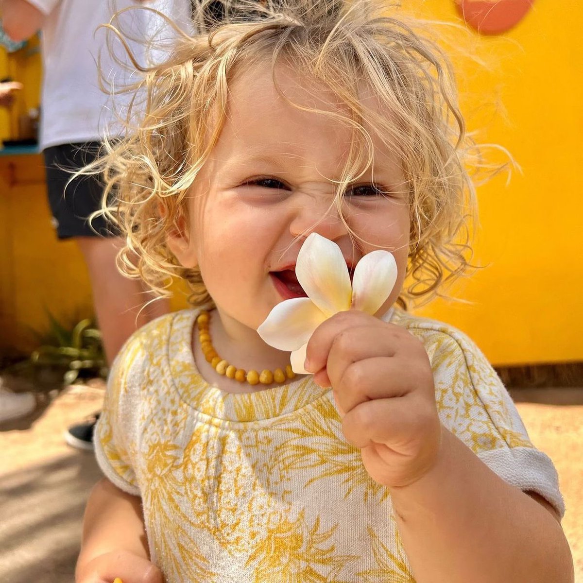 Sunrise Shack tweet media