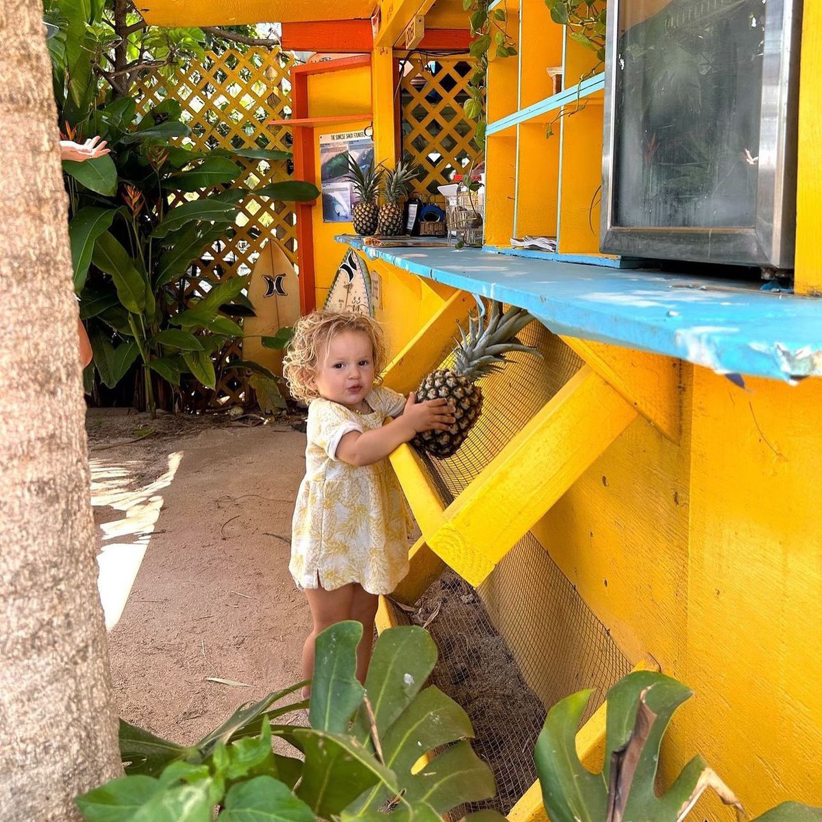 Sunrise Shack tweet media