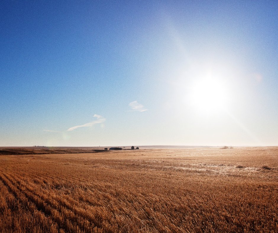 How have recent weather conditions impacted farm operations, and how can we better prepare for the rest of the growing season? 👀 In this month's Coffee Row we sat down with farmers who shared their experiences this year. gflagri.com/blog/coffee-ro… #Weather #Agriculture #Grow24