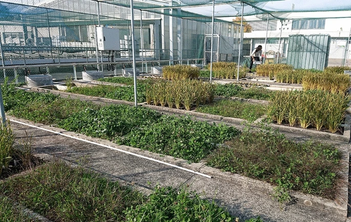 Avni Malhotra tweet media