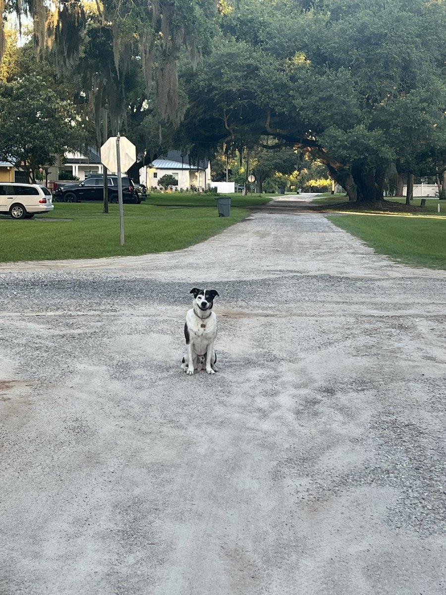 smiles from comet