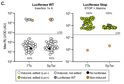 For simple mutations and small insertions, selection efficiency is &gt;90%!