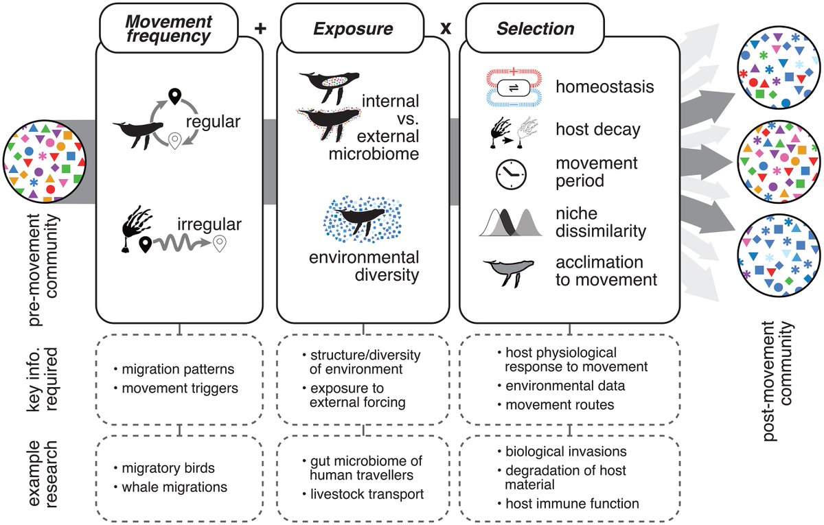 William Pearman tweet media