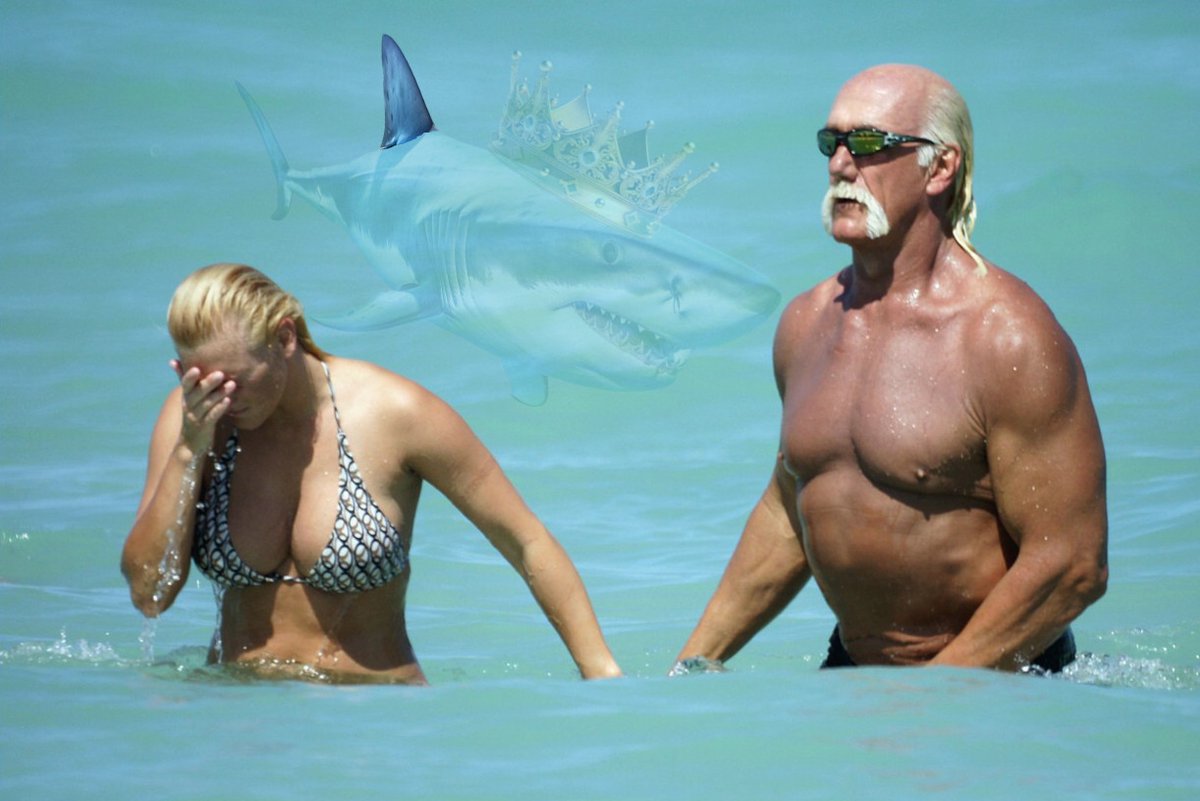 That feeling right before dreams come true...

$Shark