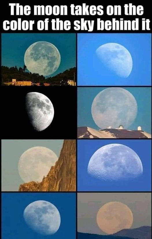 FE TRUTHS tweet media