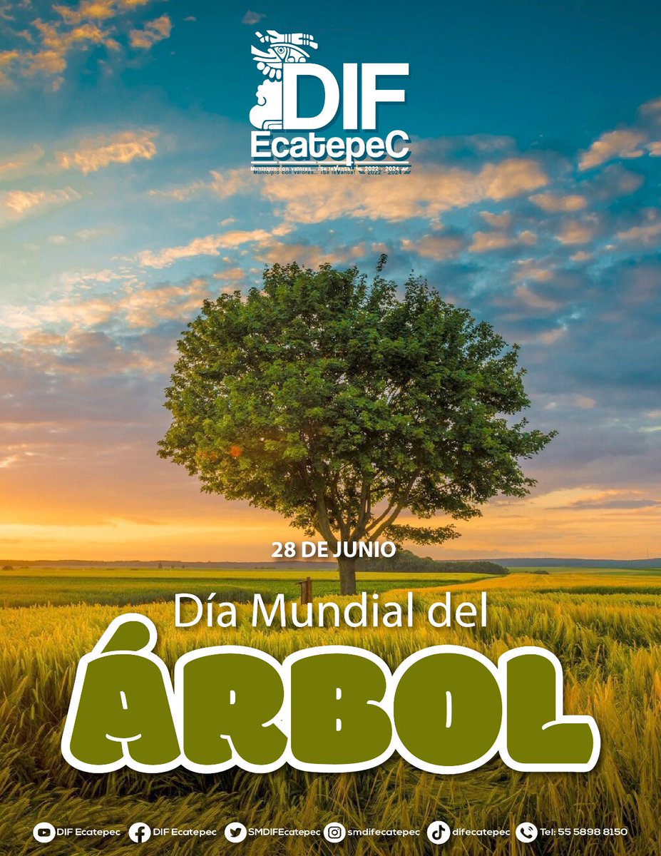 SMDIFEcatepec tweet media