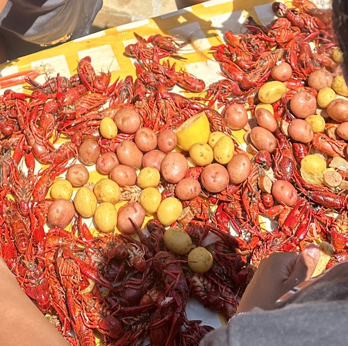 Doshia Woods tweet media