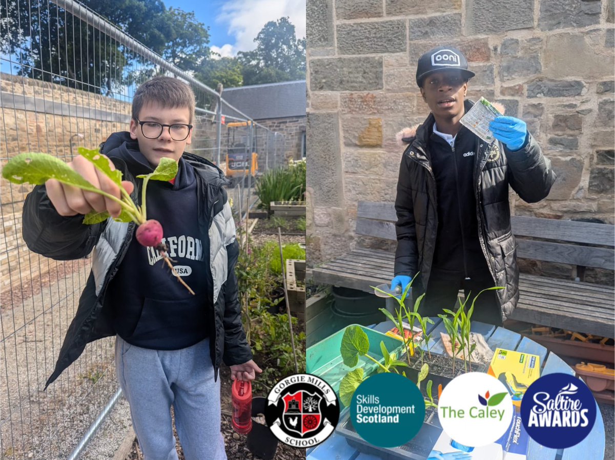 Gorgie Mills High School tweet media